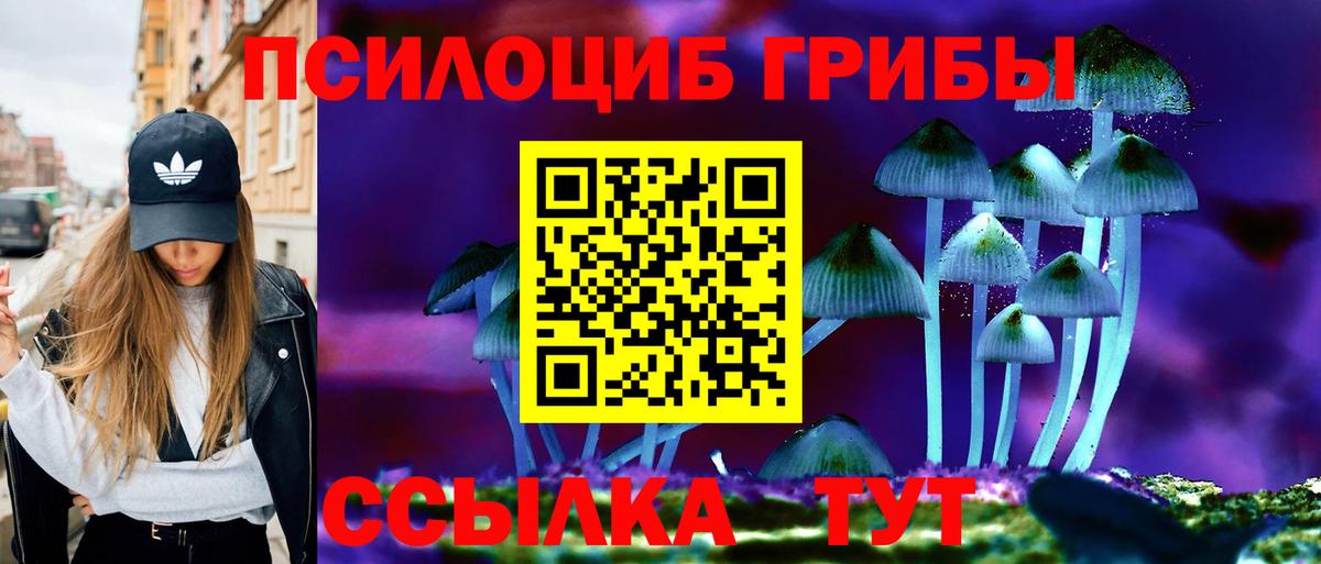 Псилоцибиновые грибы Psilocybe  Галлюциногенные грибы Psilocybe  Вход с VPN  Новоалександровск 